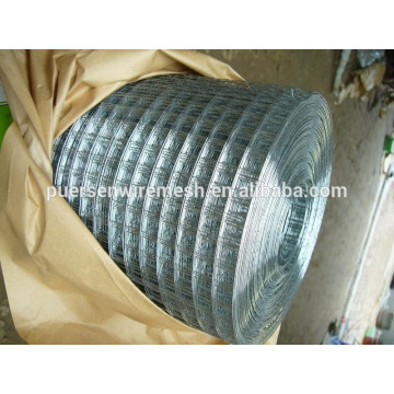 galvanized welded wire mesh / welded wire mesh panels